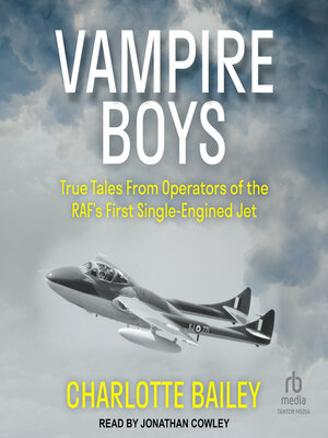 cover image of Vampire Boys
